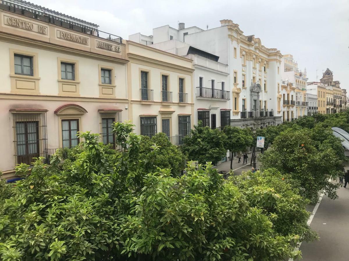 Апартаменти Apartamento Centro Jerez Херес-де-ла-Фронтера Екстер'єр фото